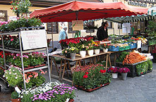 Markt in Schorndorf